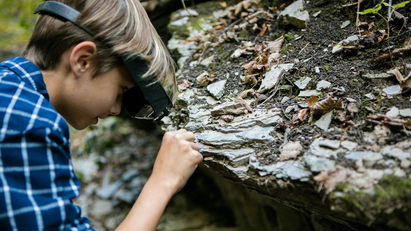 Der Vergangenheit auf der Spur am geo-paläontologischen Weg