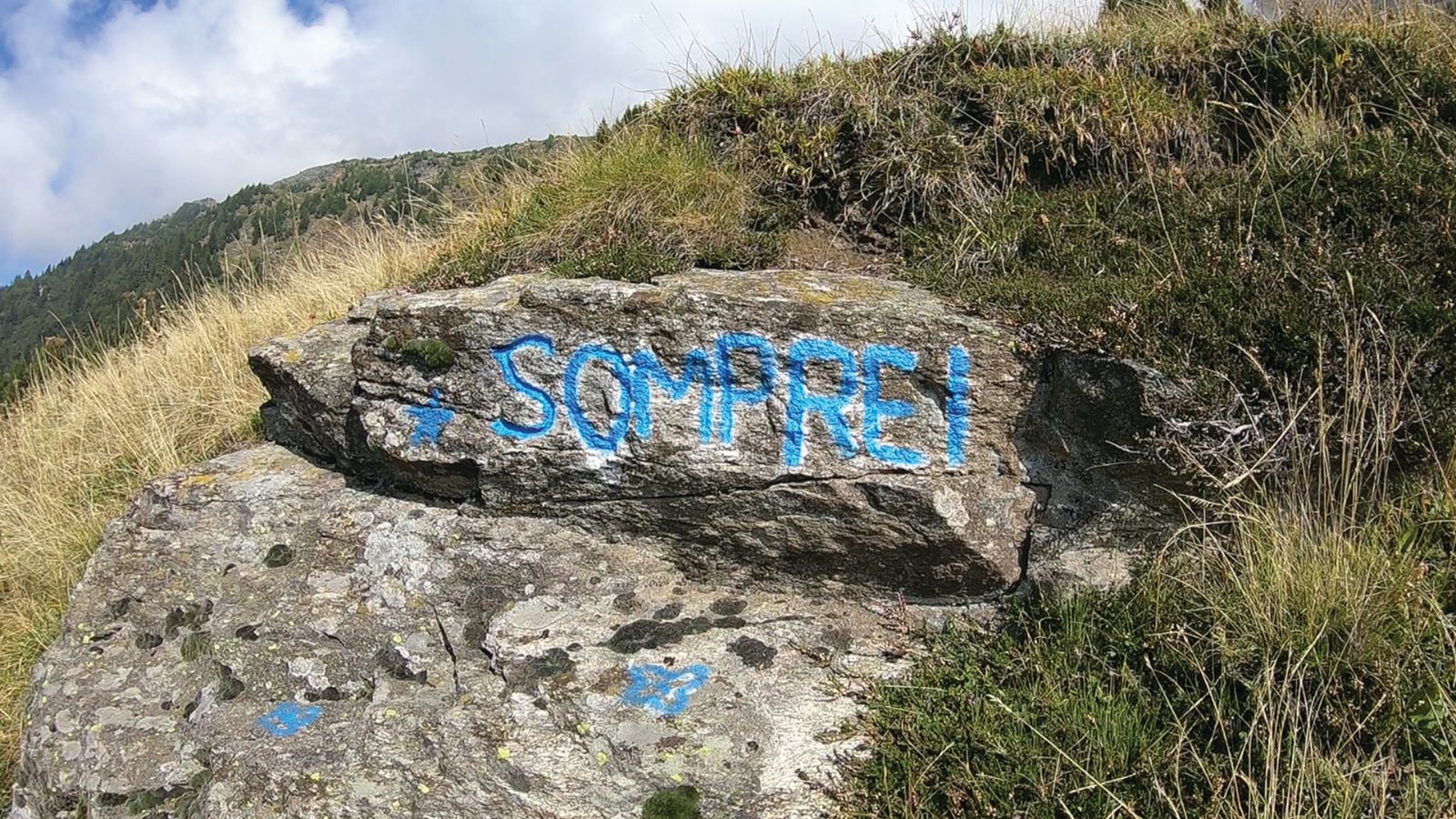 Une promenade tranquille en montagne