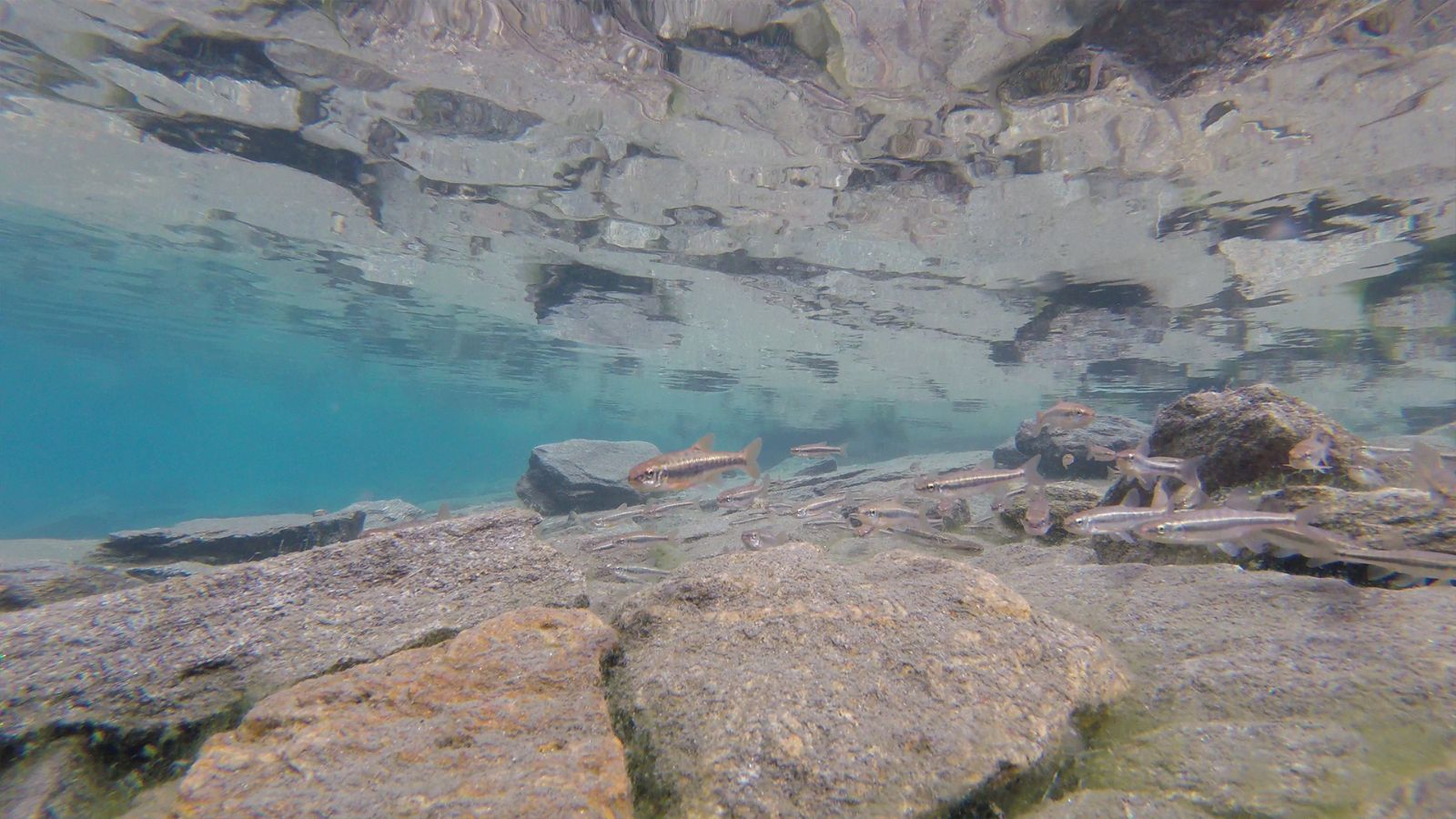 Lac situés en dessous du Pizzo Pettine (2'662 m s.m.)