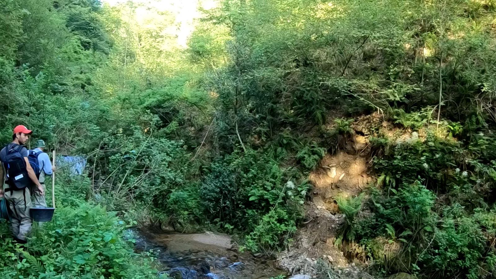 Auf dem Weg zur Goldmine, Sessa.