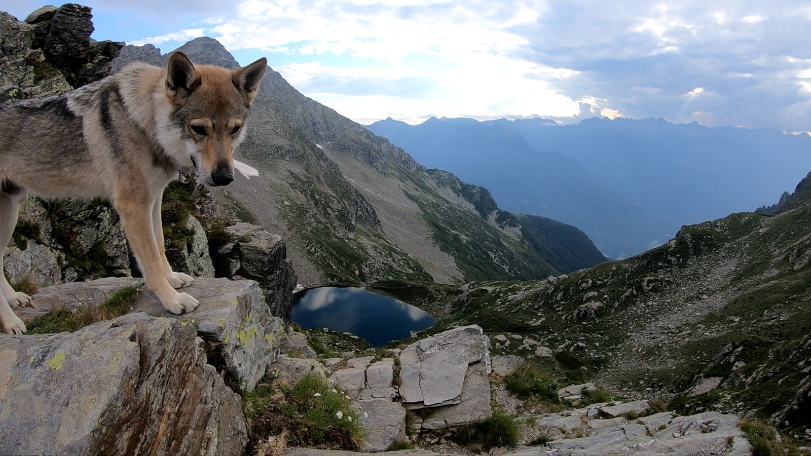L'immensité de la nature