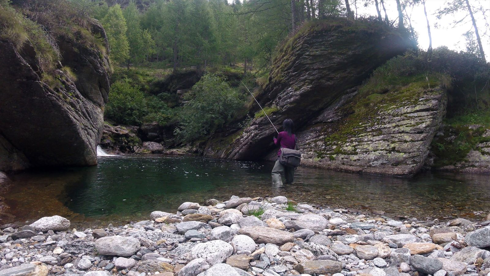 Plongez dans l'aventure