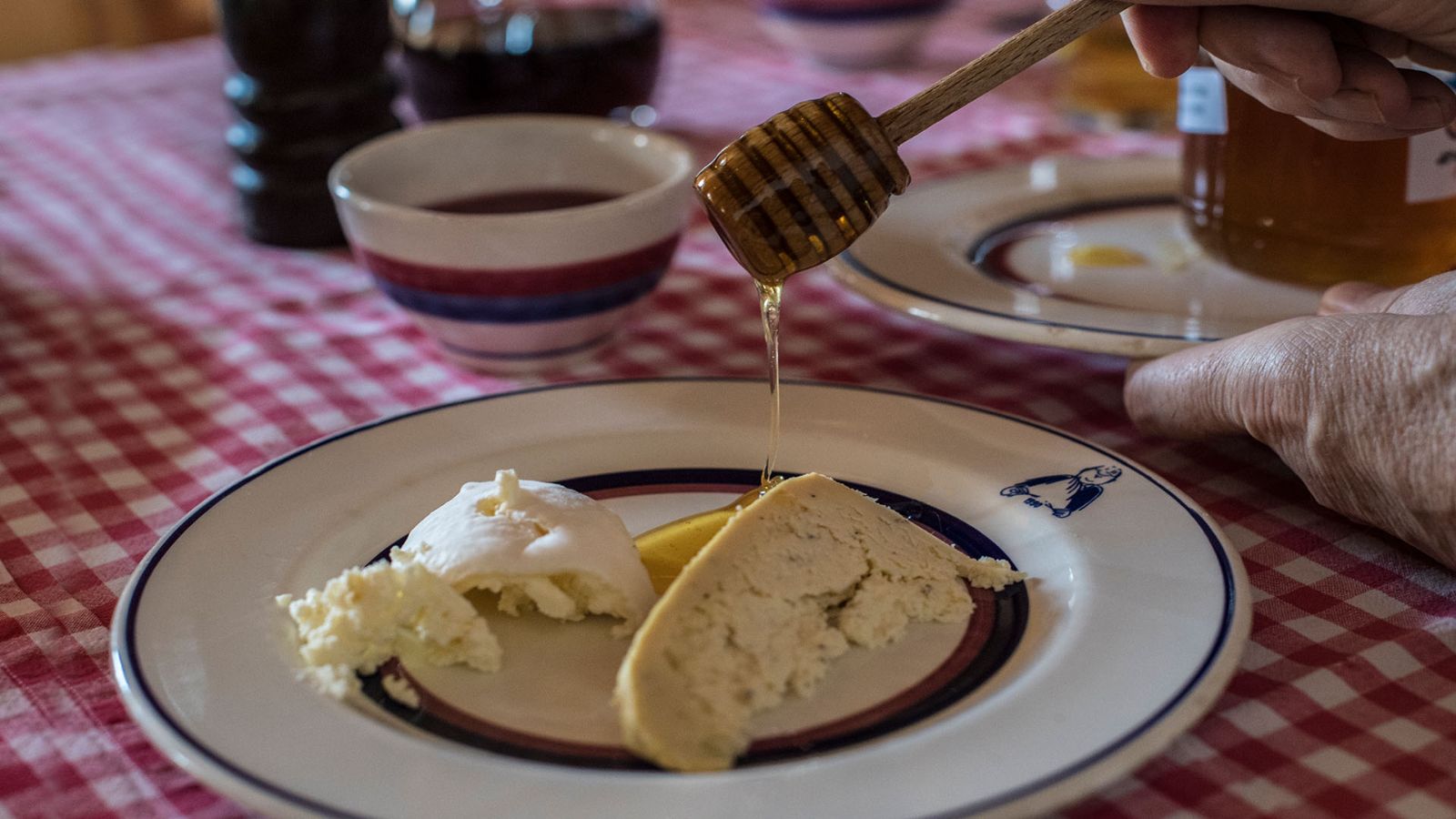 Frische Käse mit Honig – Genüsse aus dem Muggiotal
