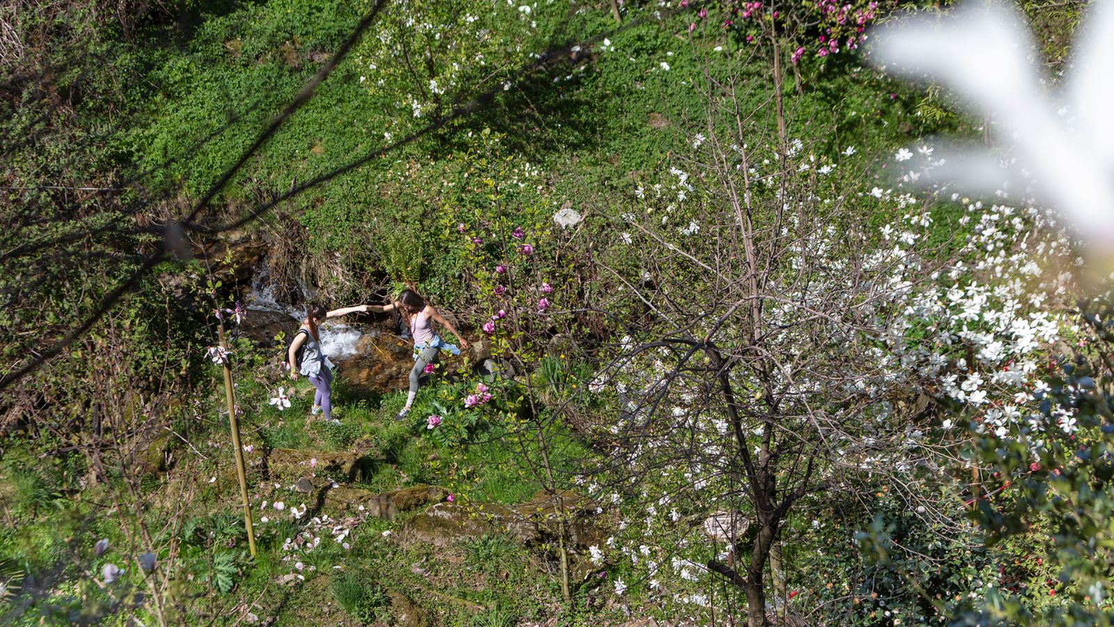 Der leichte Duft von feuchtem Boden und Wald