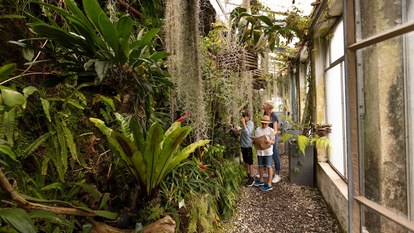 Bewundern Sie über 2’000 Pflanzenarten aus aller Welt