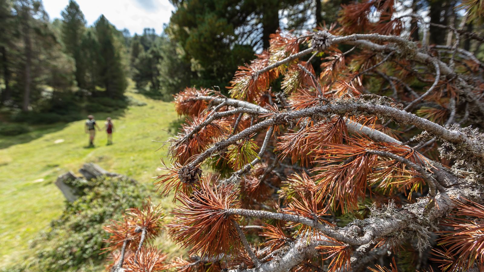 Farbe und Natur auf Alpentouren