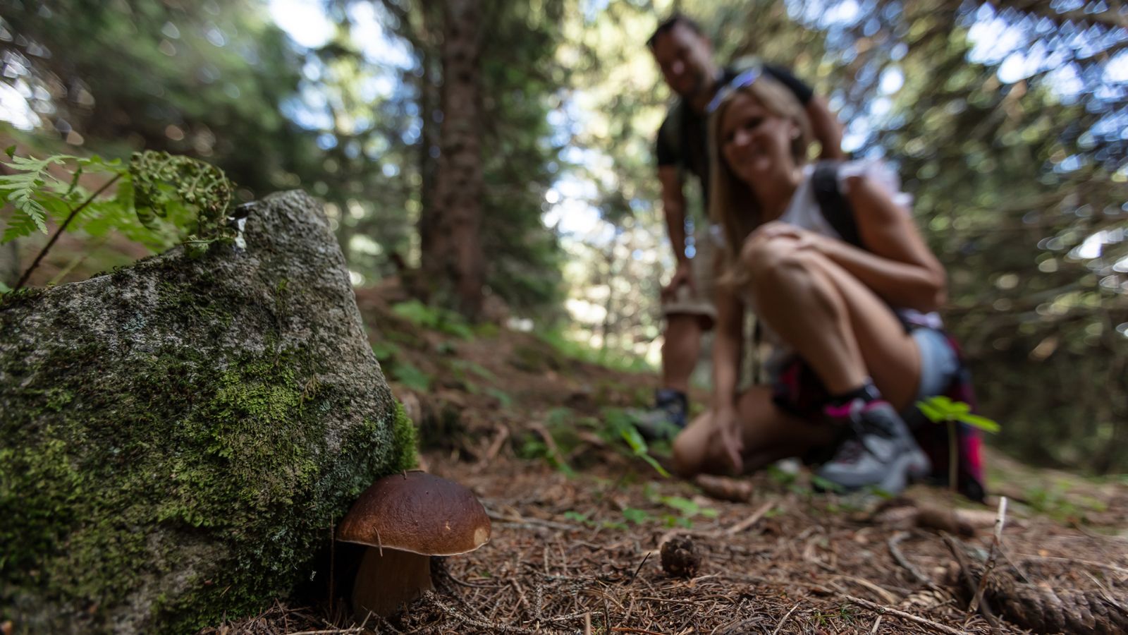 Ein Steinpilz im Wald