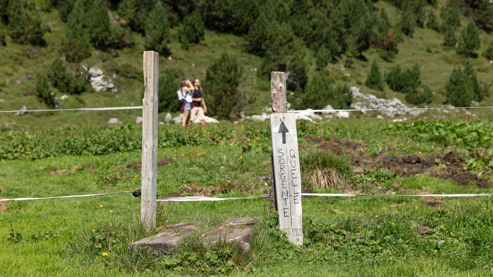 Wegweiser in den Weiden am Lukmanier