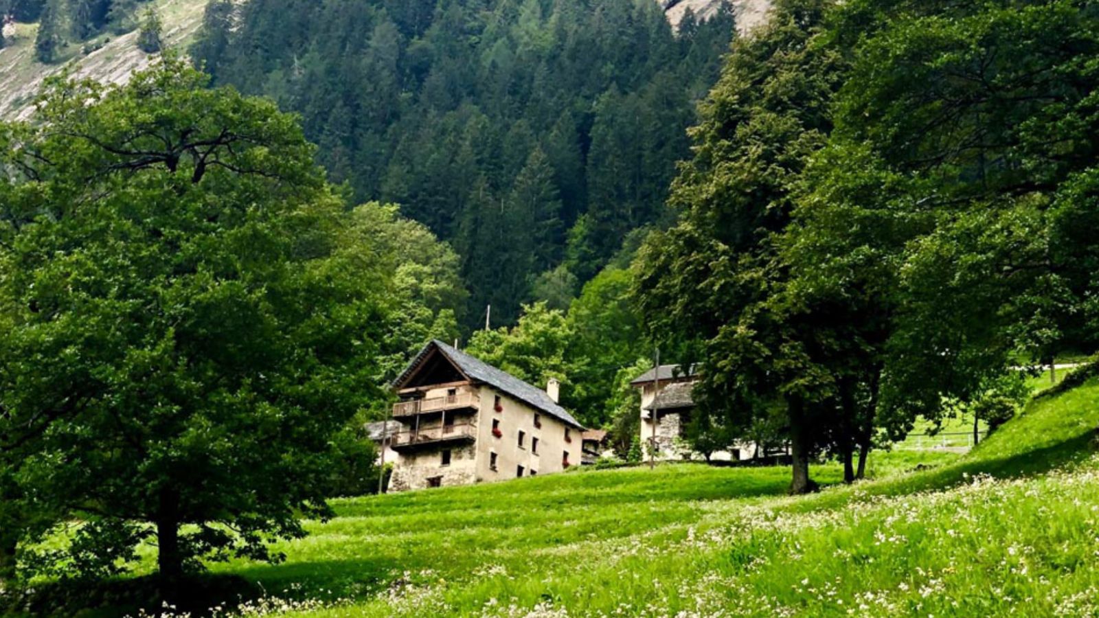 Cà Vegia, Cerentino – Un rifugio tra boschi e prati della Val Rovana 