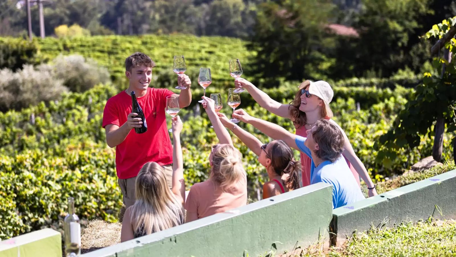 Santé dans les vignobles du Mendrisiotto lors de l’expérience Bike&Wine