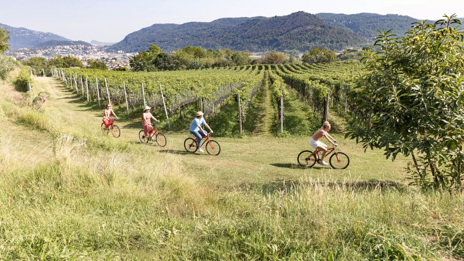 Bike&Wine dans le Mendrisiotto, entre vignes, nature et vues sur le Tessin