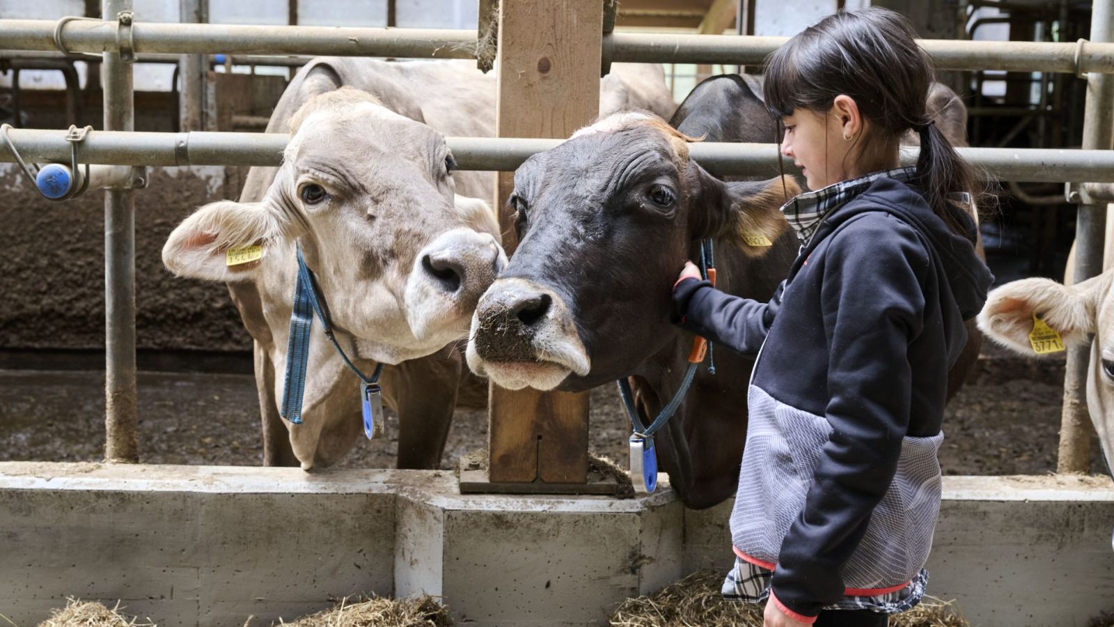 Agriesperienza, Croce farm