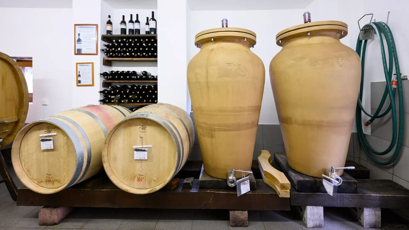 Visit to the Cavallini Winery