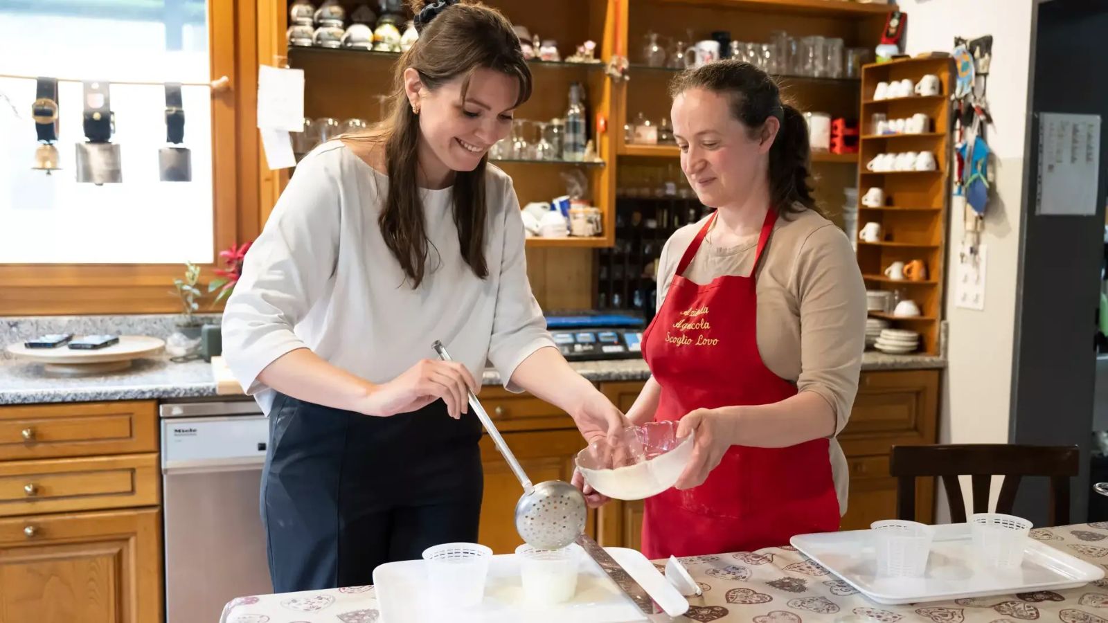 Creation of your own cheese, Scoglio farm