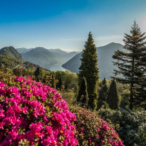 Parco San Grato, Carona