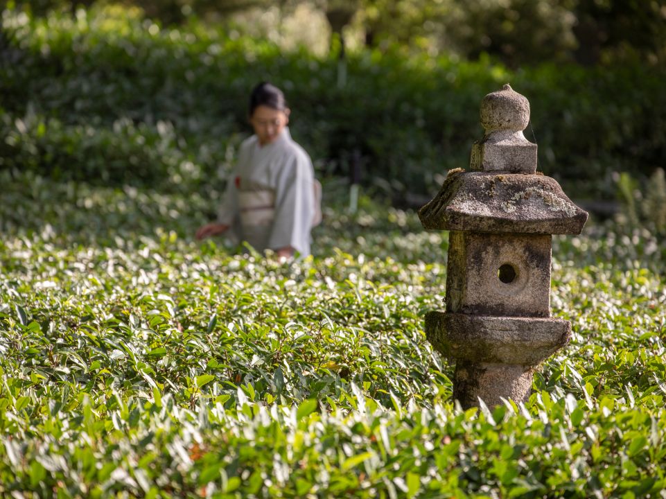 Monte Verità - Casa del Tè