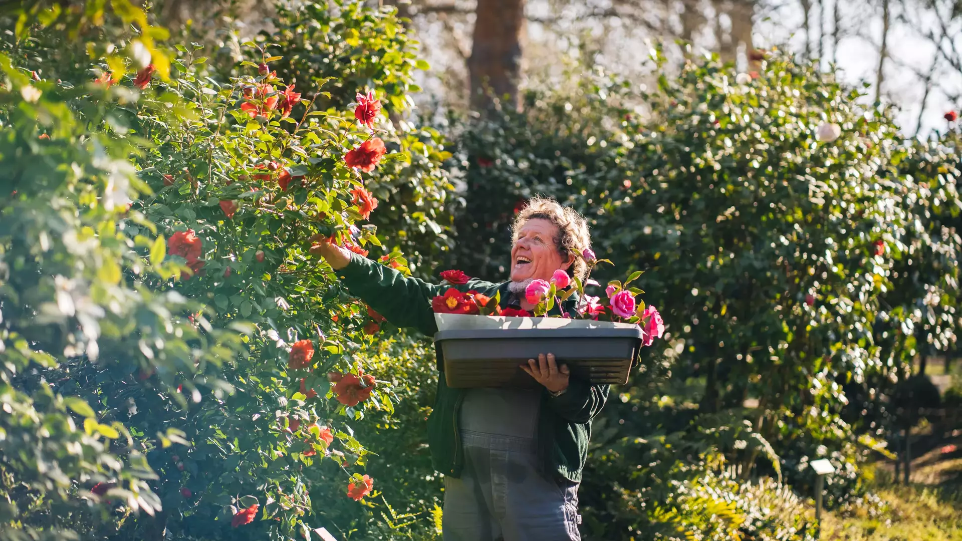Parco delle Camelie, Locarno