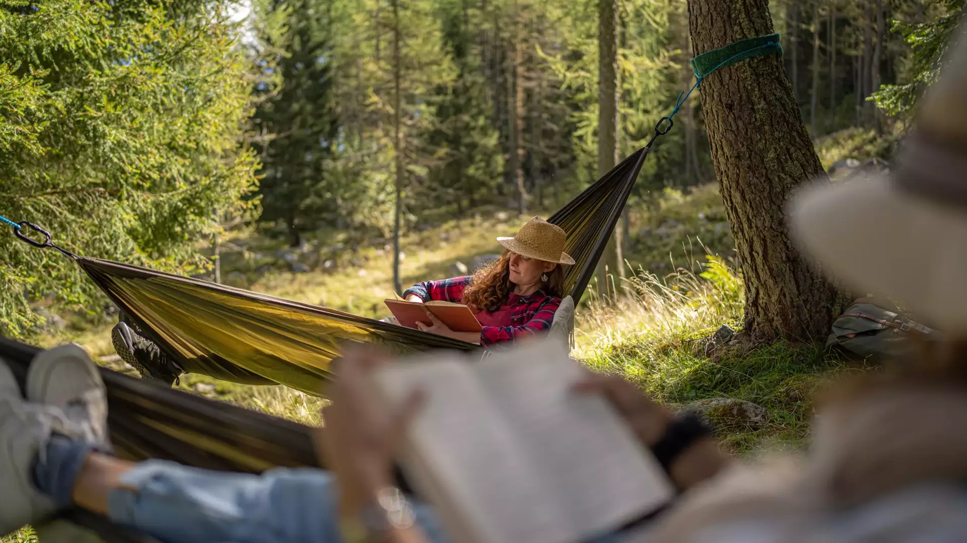 Bosco Gurin, Vallemaggia