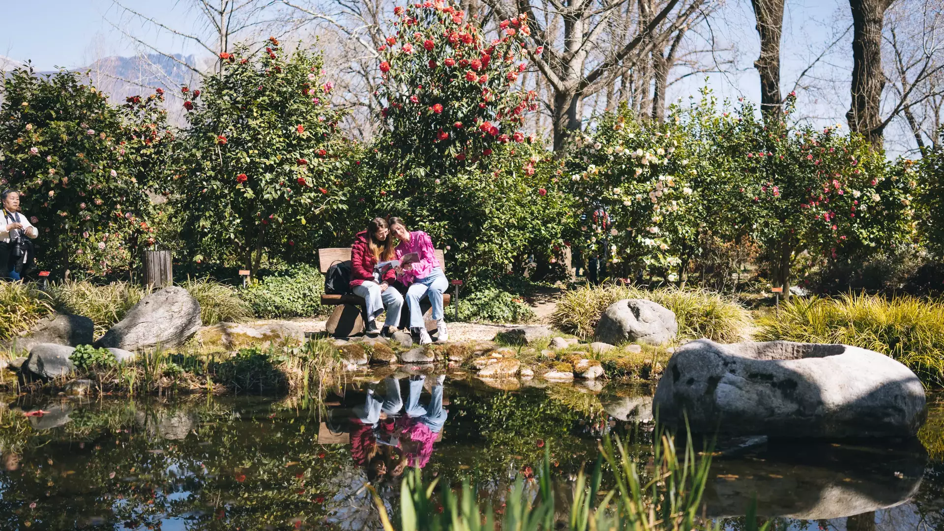 Parco delle Camelie, Locarno