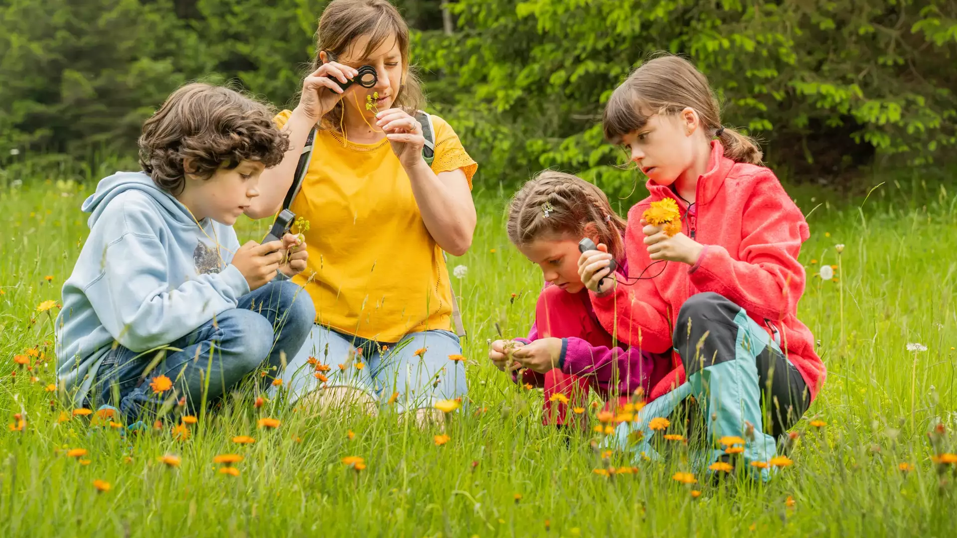 Scuola Alpina, Olivone