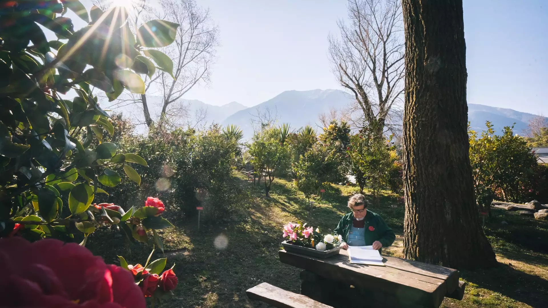 Parco delle camelie, Locarno
