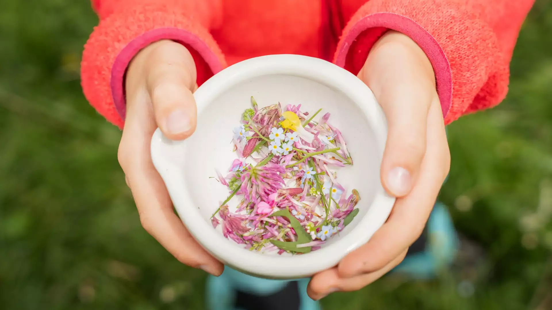 Scuola Alpina, Olivone