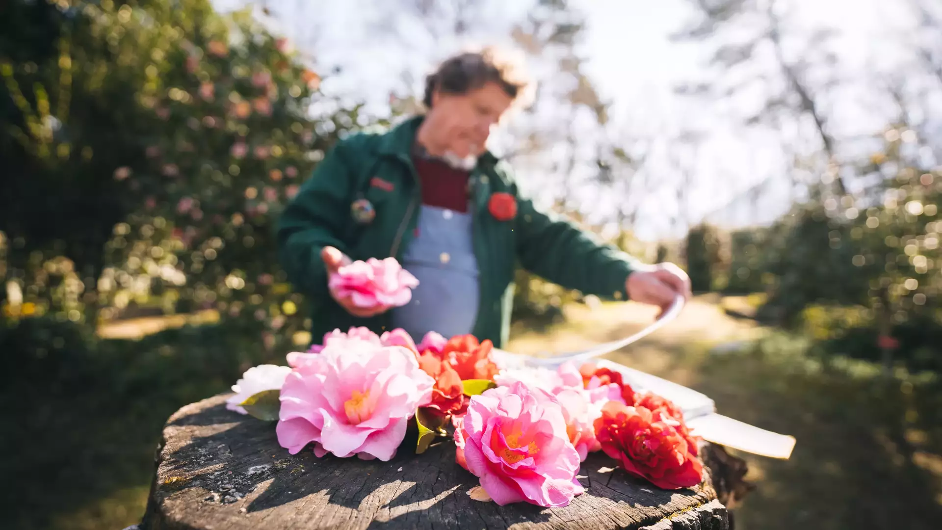 Parco delle Camelie, Locarno