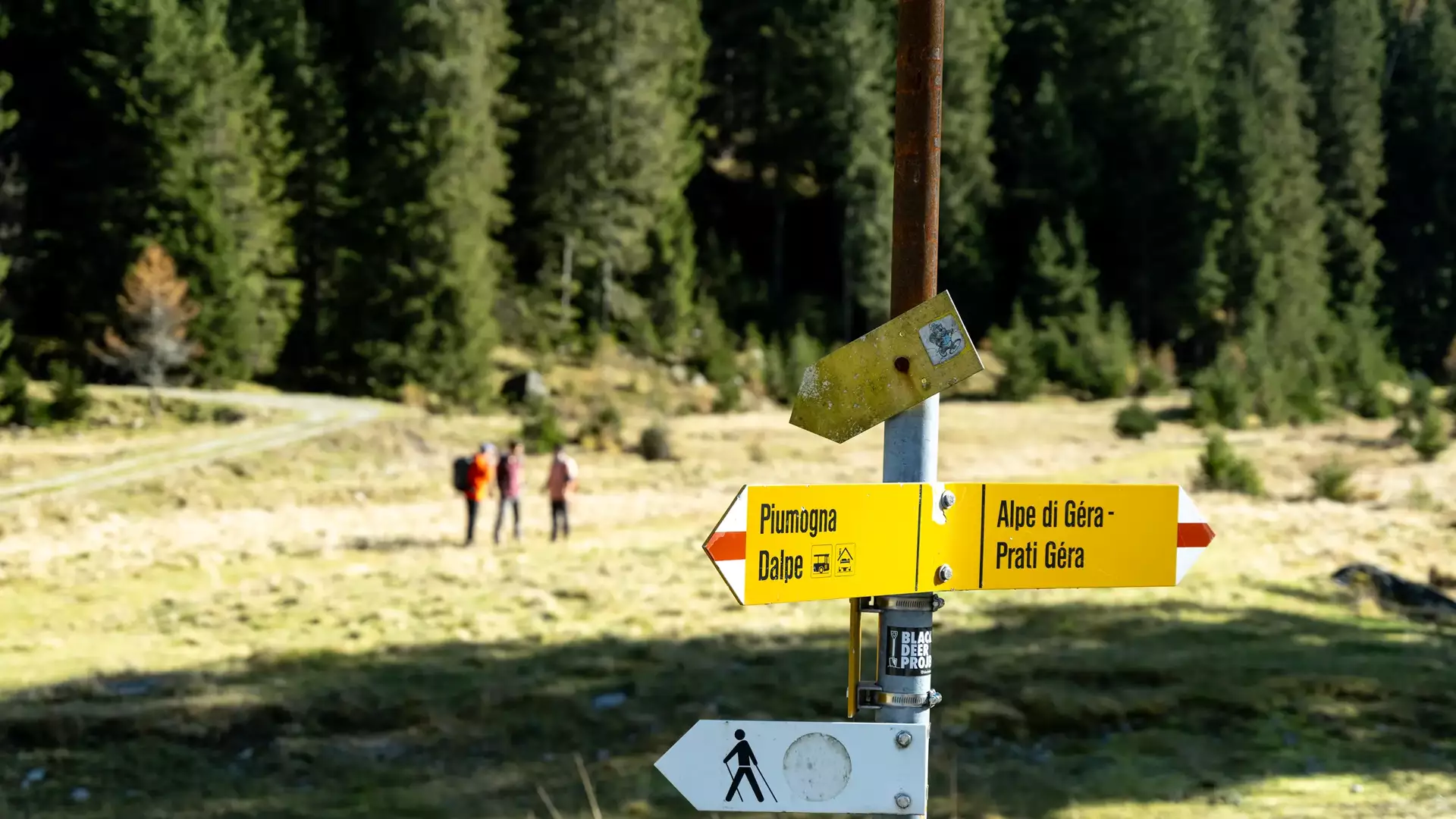 Wanderstart im Wald der Leventina